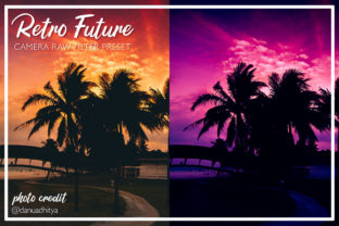 Download Retro Future Camera Raw Preset - Premium Resources
